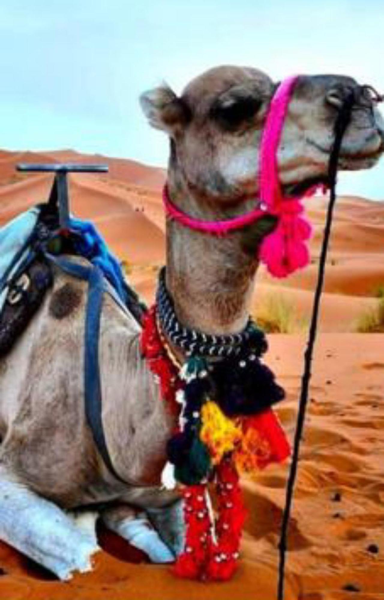 Luxury Desert Camp 梅尔祖卡 外观 照片